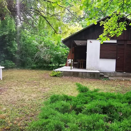 Csicsergő Apartamento *