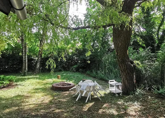 Csicsergő *